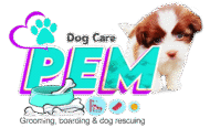 Mandeville Dog Care